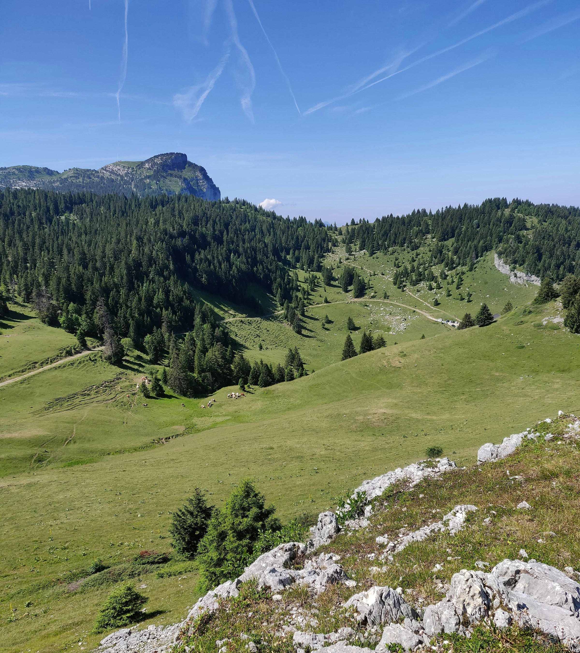 paysage francais